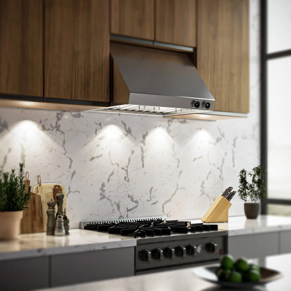 Forno Biagio 30-Inch Wall Mounted Range Hood, Stainless Steel, Heavy Duty FORNO