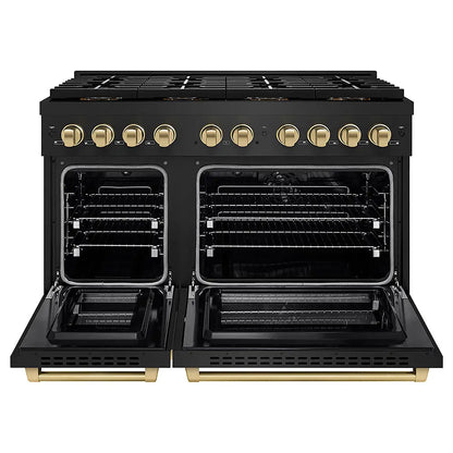 https://cdn.shopify.com/s/files/1/0596/2504/6223/files/zline--professional--black--stainless--steel--dual--fuel--range--duopro--cooktop--PSDRBZ-48-CB--front--open_e7fb072e-cbb4-4b65-896d-d1617db3960b.jpg?v=1766598445
