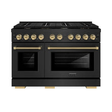 https://cdn.shopify.com/s/files/1/0596/2504/6223/files/zline--professional--black-stainless--steel--dual-fuel--range--SDRBZ-48-KCB--front--hero.jpg?v=1760125585