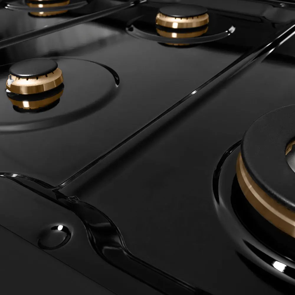 https://cdn.shopify.com/s/files/1/0596/2504/6223/files/zline--professional--black-stainless--steel--dual-fuel--range--SDRBZ-48-KCB--porcelain--detail.jpg?v=1760566381