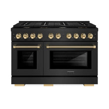 https://cdn.shopify.com/s/files/1/0596/2504/6223/files/zline--professional--black-stainless--steel--dual-fuel--range--SDRBZ-48-KG--front--hero.jpg?v=1760126163