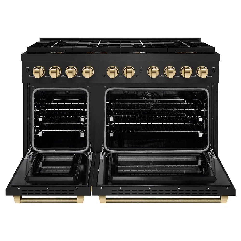 https://cdn.shopify.com/s/files/1/0596/2504/6223/files/zline--professional--black-stainless--steel--dual-fuel--range--SDRBZ-48-KG--front--open.jpg?v=1760566389