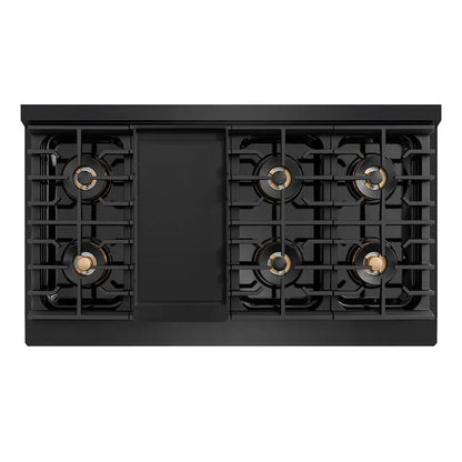 https://cdn.shopify.com/s/files/1/0596/2504/6223/files/zline--professional--black-stainless--steel--dual-fuel--range--duopro-cooktop--PSDRBZ-48-KCB--top-down--griddle_0ddf4309-aaeb-41e0-a993-58c33c5b5776.jpg?v=1766504275