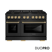 https://cdn.shopify.com/s/files/1/0596/2504/6223/files/zline--professional--black-stainless--steel--dual-fuel--range--duopro-cooktop--PSDRBZ-48-KG--front--hero--logo.jpg?v=1766504399