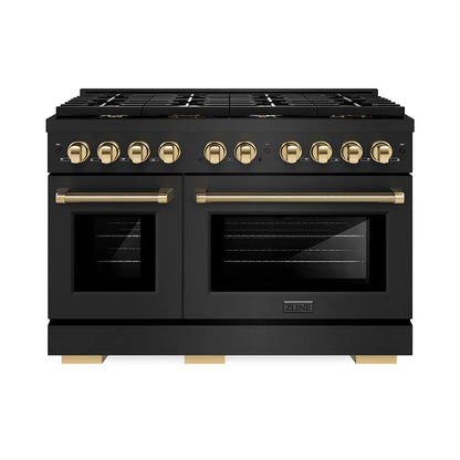 https://cdn.shopify.com/s/files/1/0596/2504/6223/files/zline--professional--black-stainless--steel--dual-fuel--range--duopro-cooktop--PSDRBZ-48-KG--front--hero_175930bc-4df1-4c95-9b64-80aaa8e2b2e9.jpg?v=1766504399
