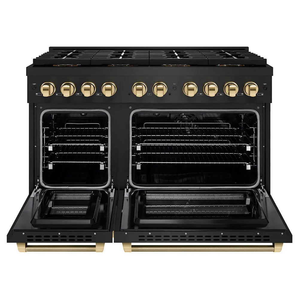 https://cdn.shopify.com/s/files/1/0596/2504/6223/files/zline--professional--black-stainless--steel--dual-fuel--range--duopro-cooktop--PSDRBZ-48-KG--front--open_656aff55-69b5-45c8-af7f-bcedba0faac7.jpg?v=1766504399
