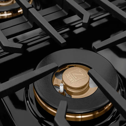 https://cdn.shopify.com/s/files/1/0596/2504/6223/files/zline--professional--stainless--steel--dual--fuel--range--duopro--cooktop--PSDRZ-WM-48-CB--burner--detail_8a255a70-ae14-4922-9bc1-f4d28e2a8d56.jpg?v=1766532552