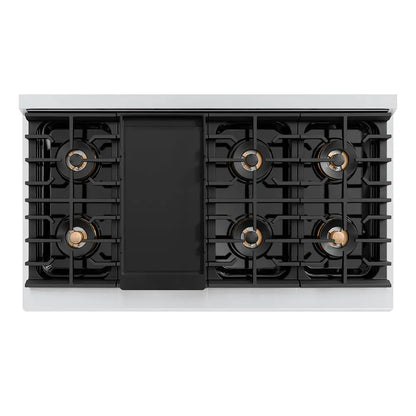 https://cdn.shopify.com/s/files/1/0596/2504/6223/files/zline--professional--stainless--steel--dual-fuel--range--duopro-cooktop--PSDRZ-48-KG--top-down--griddle_3f03b6c6-9744-464a-8d35-c11e9473b934.jpg?v=1766503115